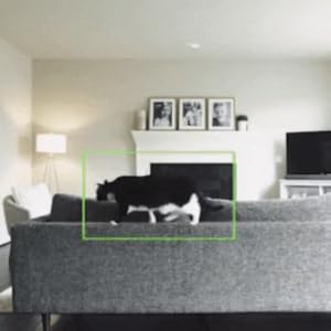 pet camera