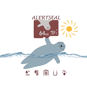 64-3