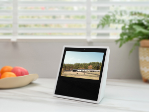 Voice Assistant Compatible