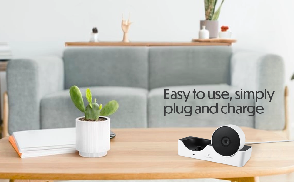 nest cam