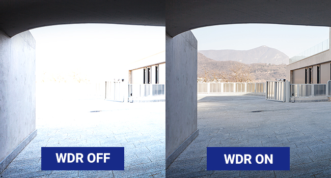 Day&Night View