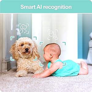 Smart Securemyhome Recognition