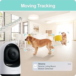 Motion_Tracking