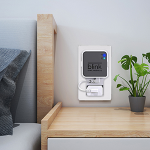 Blink Syync Module 2 Wall Mount