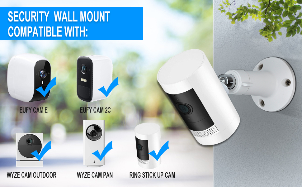 Security Wall Mount Indoor/Outdoor Camera Mount