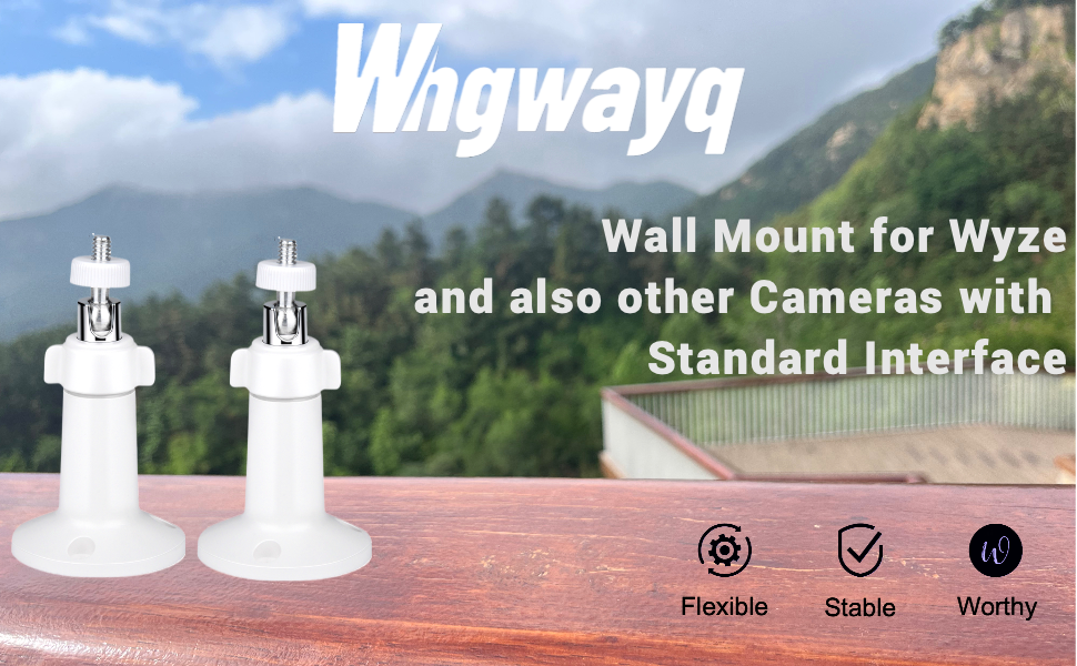Mount Wyze