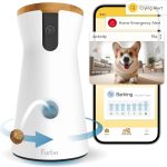 google nest camera